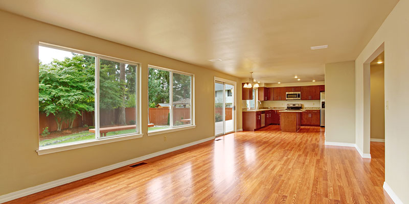 Choosing Your Windows: What You May Not Know About Some Window-Type Options