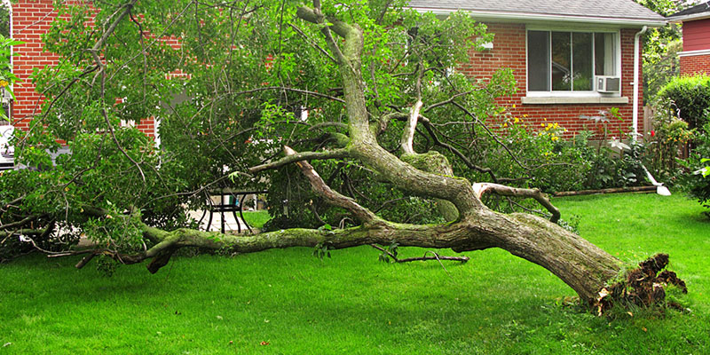 we offer replacement windows to customers