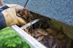 Save Time and Money with No-Clog Gutters