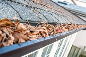 A No-Clog System to Keep Your Gutters Flowing Without Extra Work