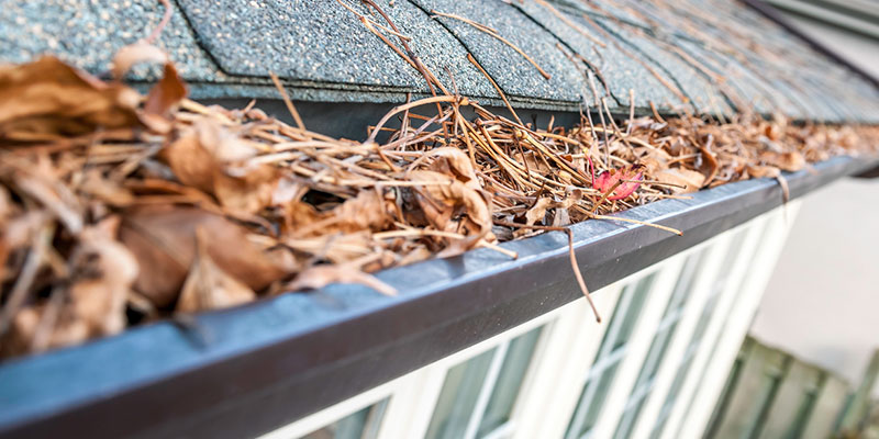 A No-Clog System to Keep Your Gutters Flowing Without Extra Work