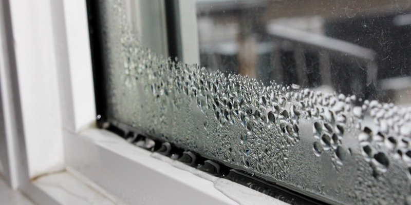 Understanding Performance for Home Windows: A Practical Guide for Homeowners
